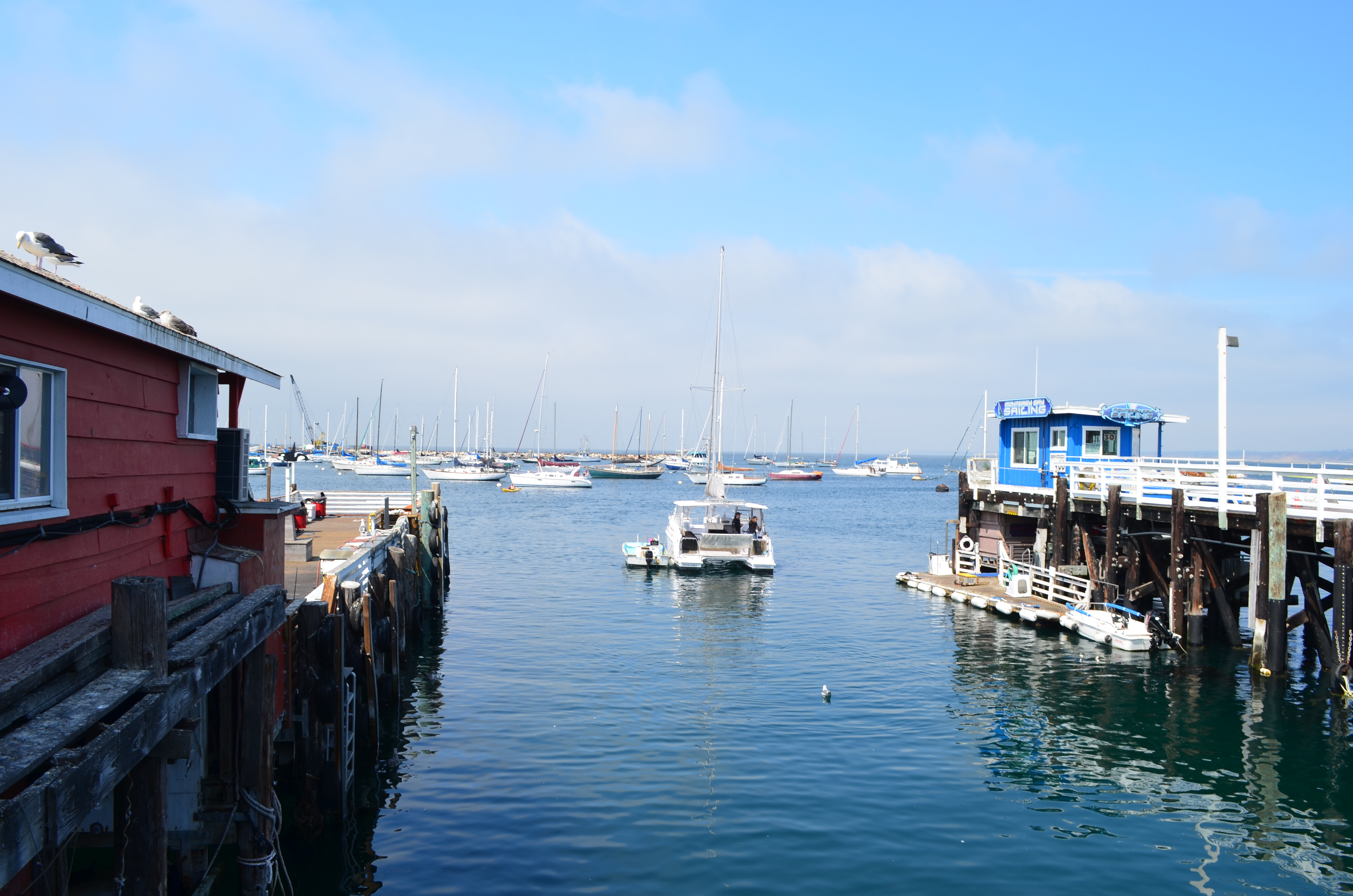 ./2018/09 - San Francisco/ASC_0757.JPG